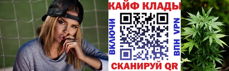 Как найти наркотики Гатчина A PVP  Псилоцибиновые грибы  Конопля  Амфетамин 