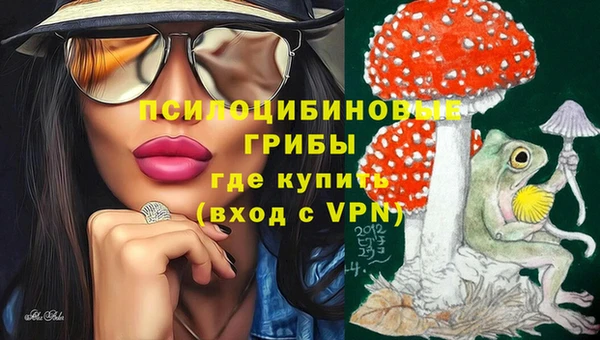 прущий лед Аркадак