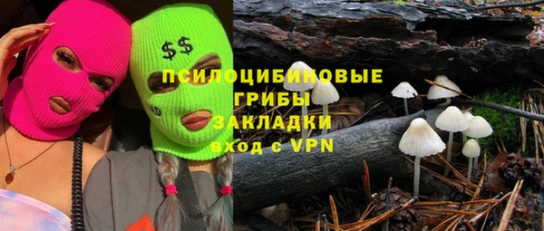 прущий лед Аркадак
