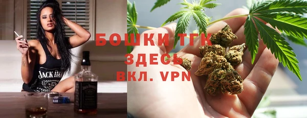 ПСИЛОЦИБИНОВЫЕ ГРИБЫ Заволжье
