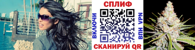 купить наркотик  Гатчина  Конопля VHQ 